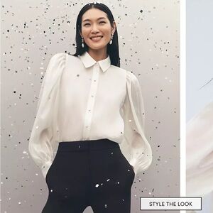 Organza voluminous collared blouse